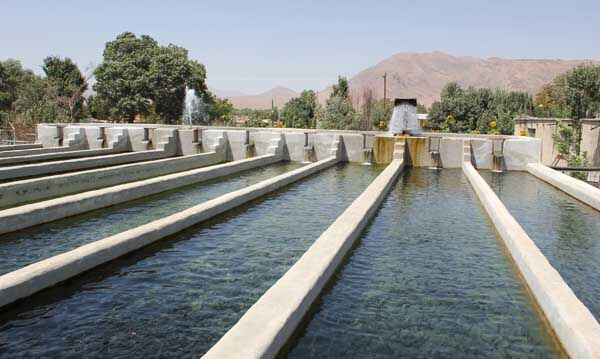 تدوین استاندارد ماهی سالم توسط شیلات زنجان برای نخستین بار در کشور