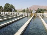 تدوین استاندارد ماهی سالم توسط شیلات زنجان برای نخستین بار در کشور