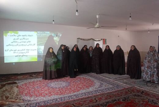 برگزاری کارگاه آموزشی احداث باغچه های سلامت برای زنان روستایی در شهرستان آوج