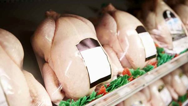 بازارهایی که ایران می‌تواند از آن ها بهره‌مند شود/ جدول میزان تولید و مصرف گوشت مرغ در کشورهای همسایه