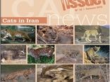ویژه نامه گربه‌سانان ایران منتشر می‌شود