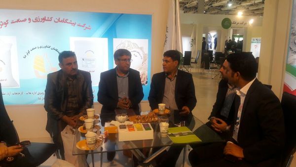 اجرای عملیات طرح آمیخته‌گری بز بومی با نژاد سانن در شهرستان کهگیلویه