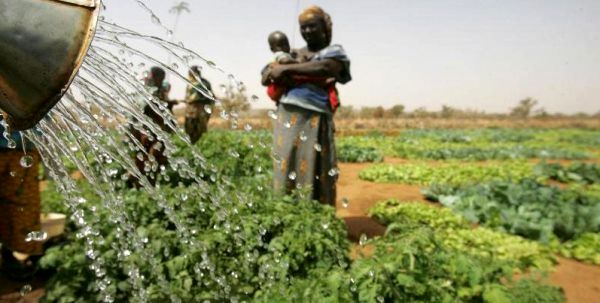 کشورهای در حال ظهور و در حال توسعه، آسیب‌پذیر در برابر خشکسالی