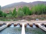تولید 14 هزار تنی محصولات شیلاتی در استان کرمانشاه
