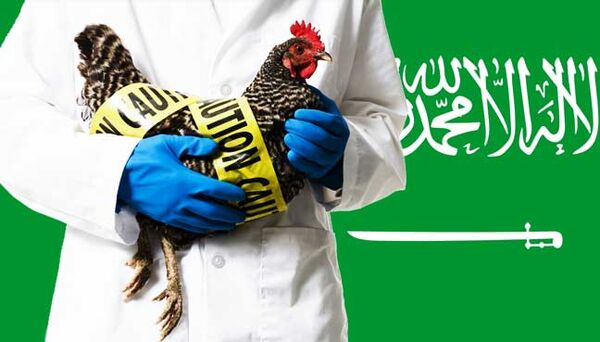 ورود پرندگان زنده از مالزی به عربستان ممنوع شد