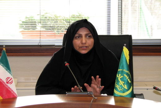 ۲۱ هزار تن نهاده‌های دامی وارد استان قزوین شد