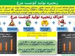 اینفوگرافیک زنجیره تولید گوشت مرغ
