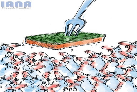 علوفه گلخانه ای برای دام -کارتون فیروزه مظفری