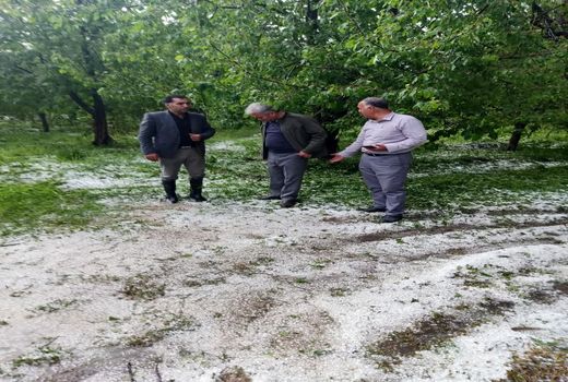 خسارت ۲۷۰ میلیارد تومانی تگرگ و سیل در خوی 