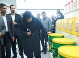  بازدید رئیس سازمان حفظ نباتات از تعاونی عرضه کننده آفت کش های کشاورزی 
