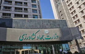نسخه اولیه بانک اطلاعات تشکل‌های کشاورزی تکمیل شد