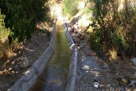 عملیات اجرایی 18پروژه بخش کشاورزی در شهرستان اردل به پایان رسید