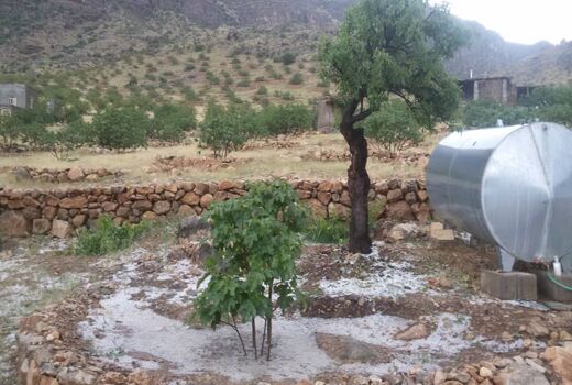 خسارت ۹۳میلیاردی تگرگ به باغ‌های نی‌ریز