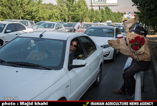 ترافیک عصرگاهی