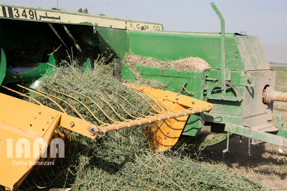 پروژه زمینهای زراعی اوقاف