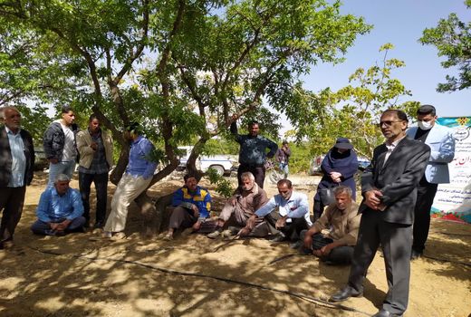 حضور نخستین کاروان بهره‌وری کشاورزی در باغات شهرستان سامان