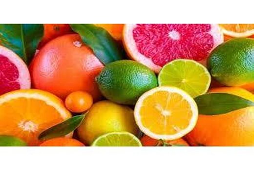 طبس، بیشترین سطح زیرکشت مرکبات استان را دارد