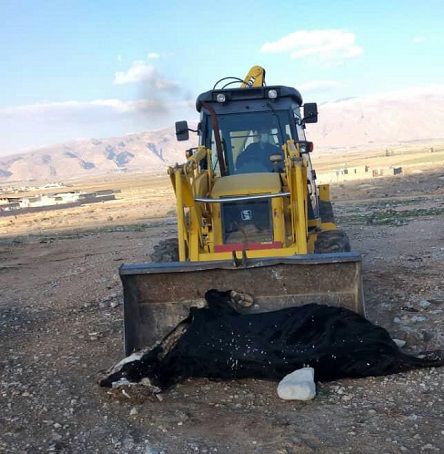 تکذبیه وجود بیماری شاربن در شهرستان کوار
