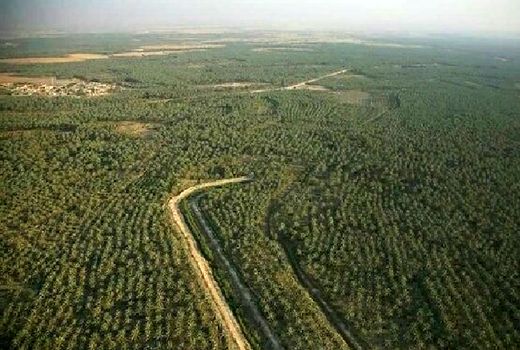 طرح تحول کشاورزی آب‌پخش با جدیت دنبال می‌شود