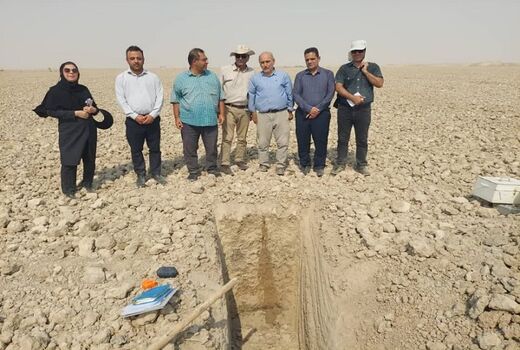 تدوین الگوی کشت بهینه در خوزستان بر پایه مطالعات دقیق خاک‌شناسی