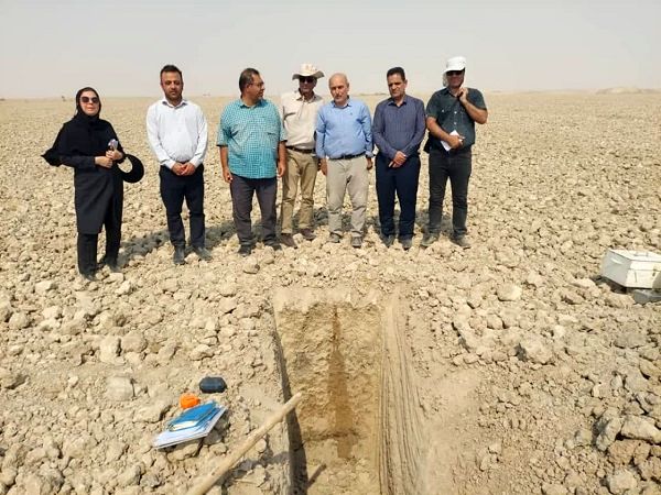 تدوین الگوی کشت بهینه در خوزستان بر پایه مطالعات دقیق خاک‌شناسی