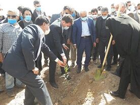 کاشت نهال به مناسبت روز درختکاری با حضور استاندار کرمان