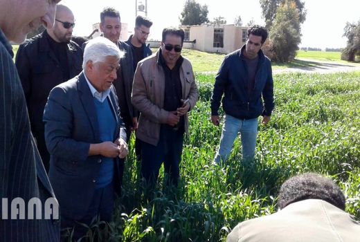 بازدید سرپرست وزارت جهاد کشاورزی از مزارع کشاورزی استان های خوزستان و ایلام 98/11/24	
