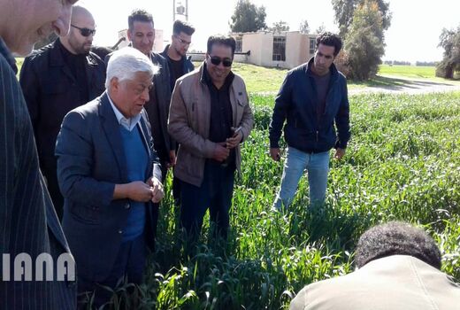 بازدید سرپرست وزارت جهاد کشاورزی از مزارع کشاورزی استان های خوزستان و ایلام 98/11/24	