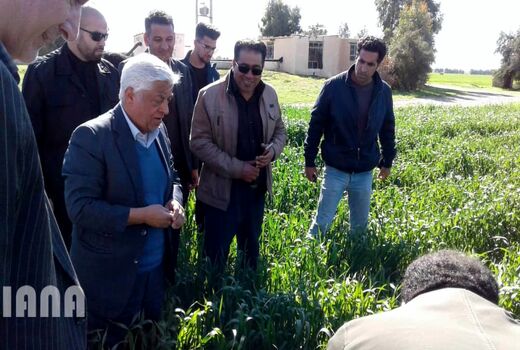 بازدید سرپرست وزارت جهاد کشاورزی از مزارع کشاورزی استان های خوزستان و ایلام 98/11/24	