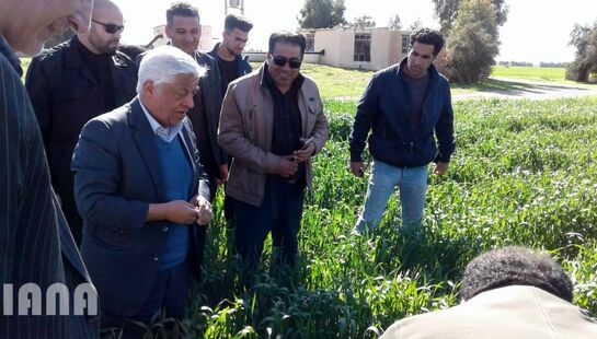 بازدید سرپرست وزارت جهاد کشاورزی از مزارع کشاورزی استان های خوزستان و ایلام 98/11/24	