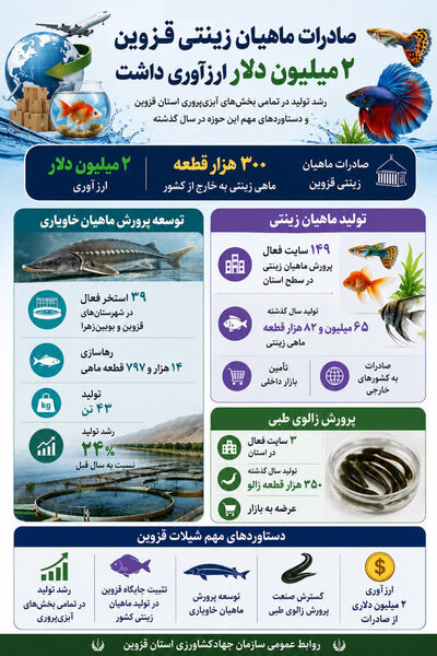 اینفوگرافی | صادرات  ماهیان زینتی قزوین، دو میلیون دلار ارزآوری داشت