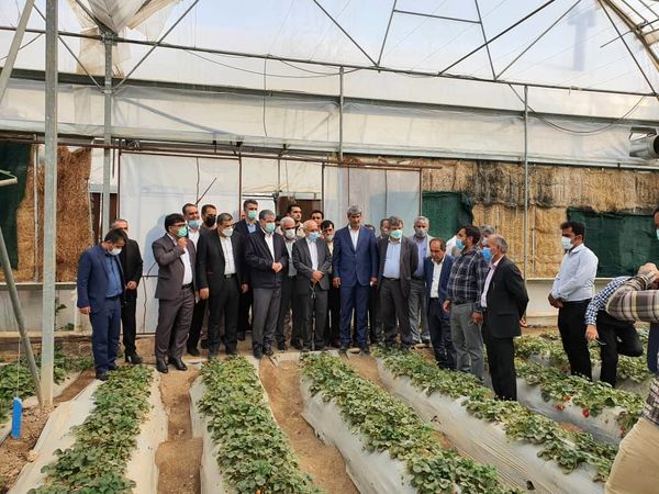 گسترش سیستمهای دامپروری در شهرستان باغملک