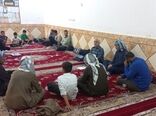 استفاده از پسماندهای محصولات کشاورزی در تغذیه دام