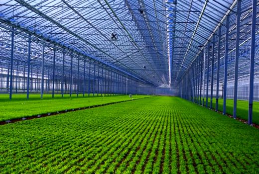 ایجاد 6 هزار هکتار شهرک کشاورزی در کشور