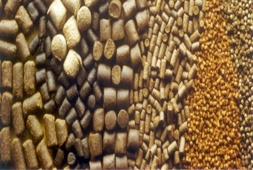 در جیره‌نویسی عهد اخوت با هیچ نهاده‌ای وجود ندارد/ لزوم اصلاح سیاست‌های واردات نهاده‌ها