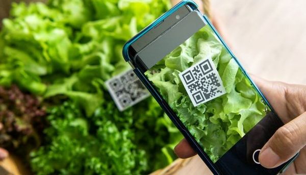 صادرات محصولات کشاورزی فقط با ثبت نام در سامانه سماک و اخذ کد شناسه امکانپذیر است