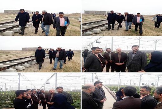 بازدید معاون استاندار تهران از شهرک گلخانه ای حصارگلی در ورامین