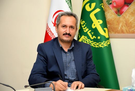  شاهد اثرات مثبت حذف ارز ترجیحی در جامعه کشاورزی تبریز هستیم