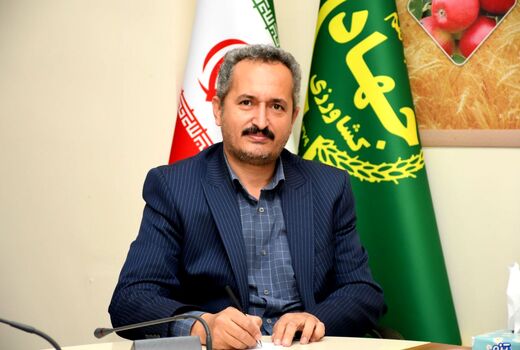  شاهد اثرات مثبت حذف ارز ترجیحی در جامعه کشاورزی تبریز هستیم