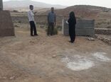 شناخت خوراک دام در تغذیه دام سبک و سنگین در خوزستان