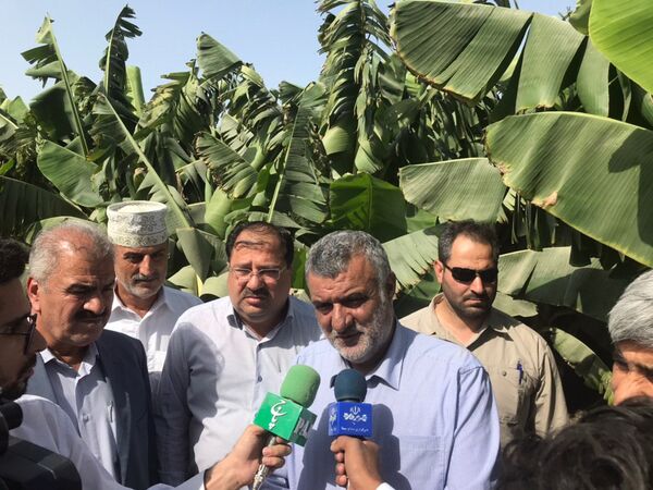 توسعه کشاورزی اقتصادی روز ضامن رونق تولید و اشتغال 