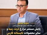 رصد ۳۰۰ هزار هکتار از مزارع تابستانه استان فارس برای مهار آفات