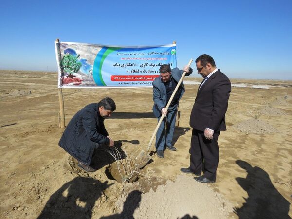 آغاز بوته کاری صد هکتاری در راستای بیابان زدایی درحوزه دریاچه ارومیه  درشهرستان  بناب