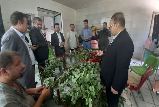 محصولات اقتصادی و جدید کشاورزی در کهگیلویه و بویراحمد 