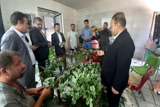 محصولات اقتصادی و جدید کشاورزی در کهگیلویه و بویراحمد 