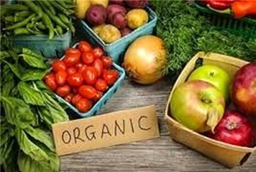 تولید محصول سالم و حفظ محیط زیست با استاندارد سازی میزان توزیع کودهای شیمیایی و سموم کشاورزی