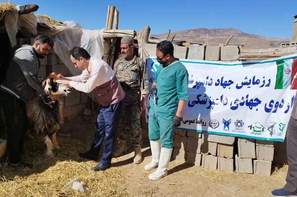 رزمایش جهاد دامپزشکی در بیضاء برگزار شد