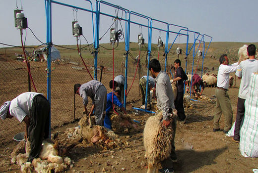 ممنوعیت ورود علوفه‌زن، ژنراتور و سیل مکانیکی