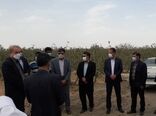 افزایش ۳ برابری خسارات ناشی از حوادث طبیعی نسبت به سال زراعی قبل