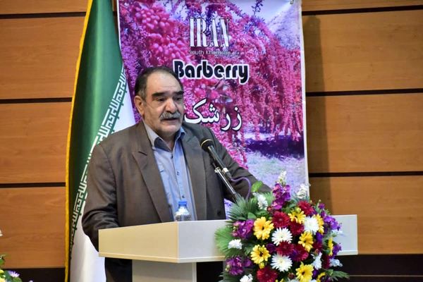 هزار میلیارد تومان تسهیلات برای خرید زعفران اختصاص یافت
